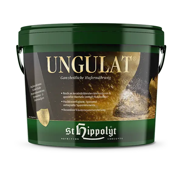 St.Hippolyt Ungulat