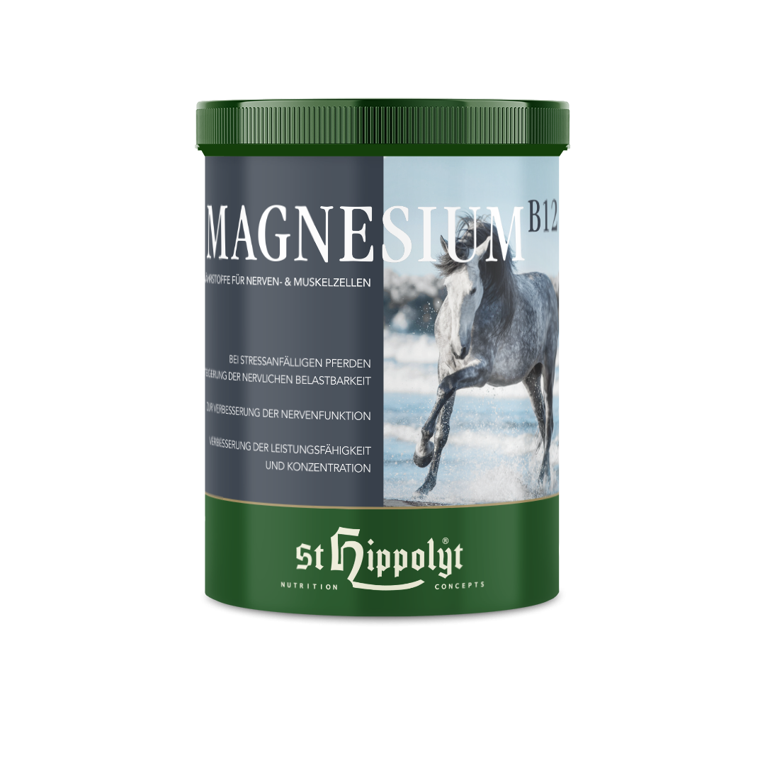 St.Hippolyt Magnesium B12