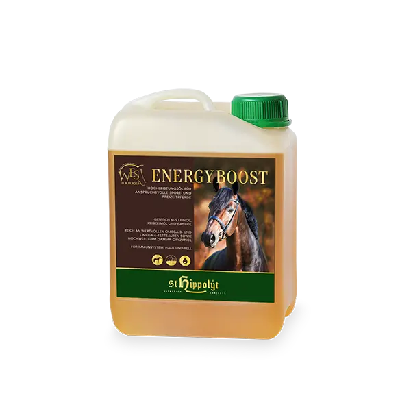 St.Hippolyt WES Energy Booster