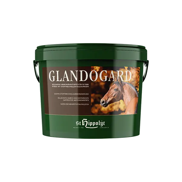 St.Hippolyt Glandogard