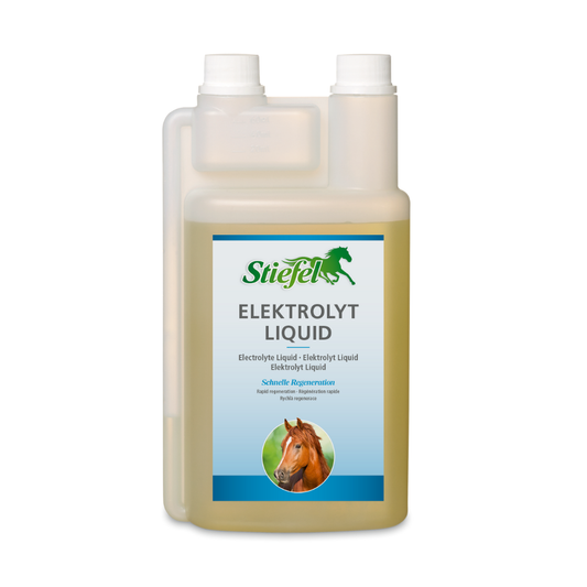 Stiefel Elektrolyt Liquid