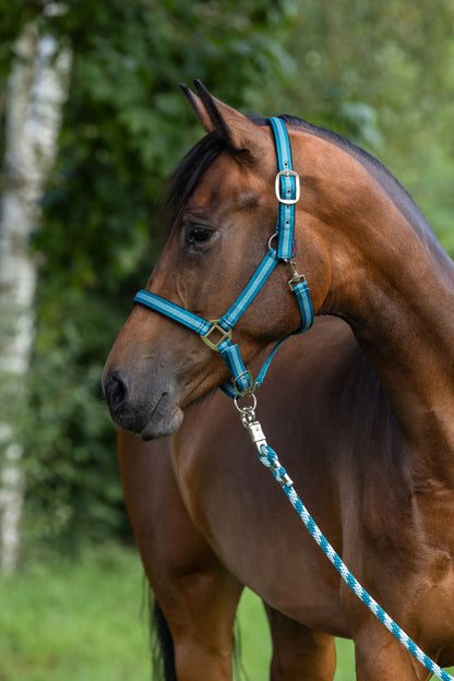 Kerbl Halfter Mustang