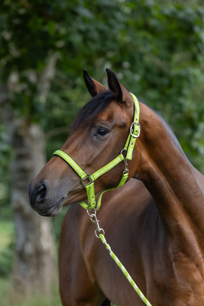Kerbl Halfter Mustang