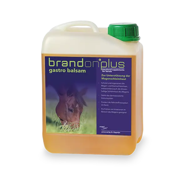 St.Hippolyt Brandon Plus Gastro Balsam