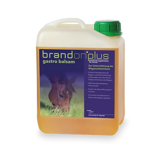 St.Hippolyt Brandon Plus Gastro Balsam