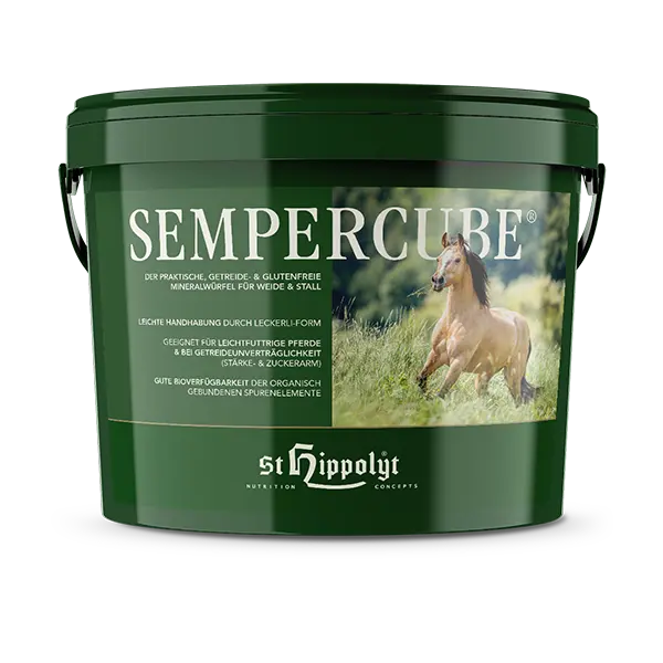 St.Hippolyt Sempercube