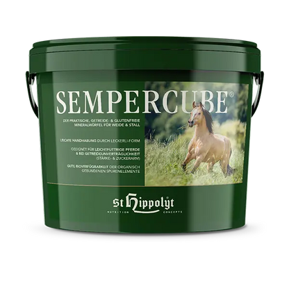 St.Hippolyt Sempercube