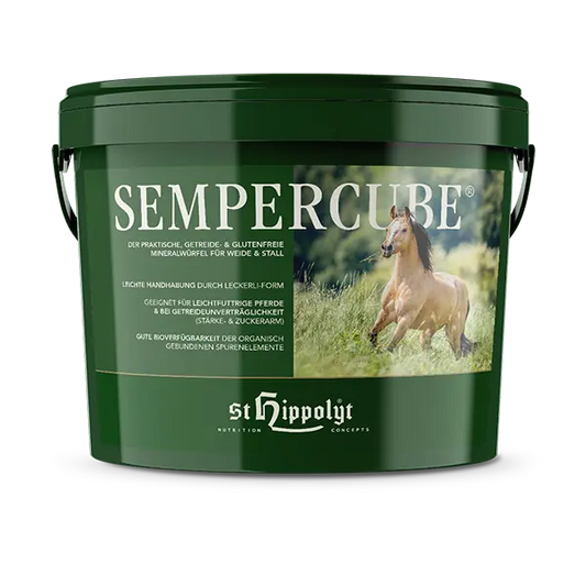 St.Hippolyt Sempercube