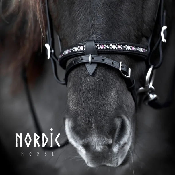 Nordic Horse Engl. Komb. Nasenriemen Color Mix Pink