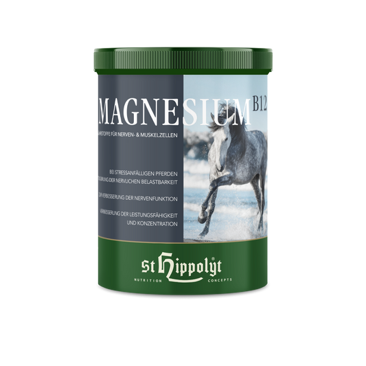 St.Hippolyt Magnesium B12
