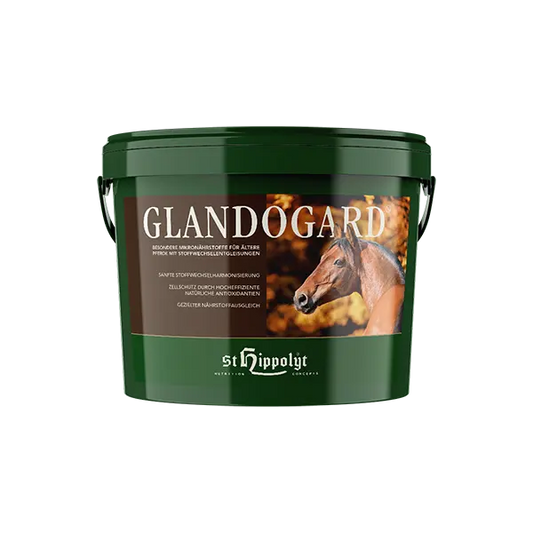 St.Hippolyt Glandogard